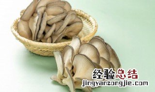 椒盐平菇的做法 椒盐平菇的做法视频
