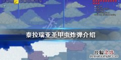 泰拉瑞亚圣甲虫爆破弹 泰拉瑞亚1.4圣甲虫炸弹好用吗