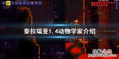 泰拉瑞亚新npc动物学家卖什么 泰拉瑞亚1.4动物学家介绍