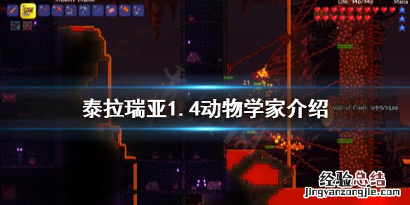 泰拉瑞亚新npc动物学家卖什么 泰拉瑞亚1.4动物学家介绍