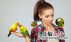 鹊拼音 鹊读音和介绍