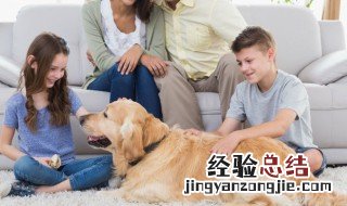 孩子害羞怎么引导 孩子有点害羞,应该从哪方面引导