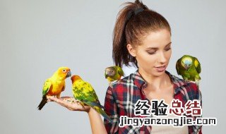 鸟的拼音 鸟的拼音是什么