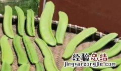 刀巴豆的功效和作用是什么呢 刀巴豆的功效和作用是什么呢图片