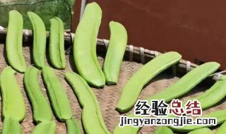 刀巴豆的功效和作用是什么呢 刀巴豆的功效和作用是什么呢图片