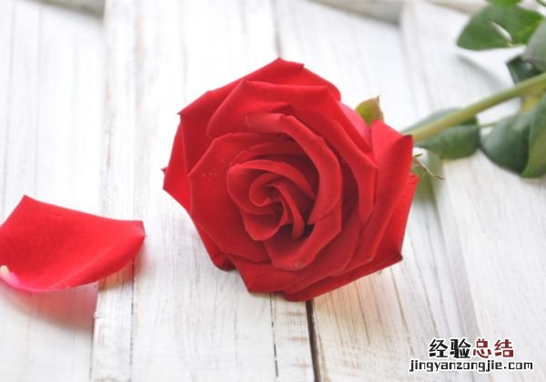 如何自制纯天然爽肤水 自制天然爽肤水的方法