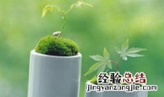 关于青春的优美段落摘抄260字 关于青春的优美段落摘抄
