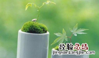 关于青春的优美段落摘抄260字 关于青春的优美段落摘抄
