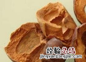 山竹茶的做法与功效 山竹茶的做法与功效视频