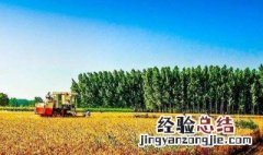 秸秆回收能做啥 秸秆回收有啥用