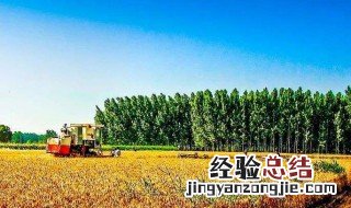 秸秆回收能做啥 秸秆回收有啥用