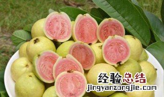 吃番石榴的功效与作用及副作用 吃番石榴的功效与作用