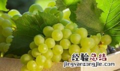 吃葡萄有哪些好处 吃葡萄的好处有哪些