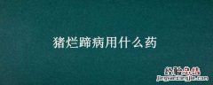 猪烂蹄病用什么药 猪烂蹄用什么药效果最好