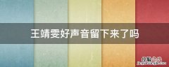 王靖雯好声音留下来了吗 王靖雯上好声音了