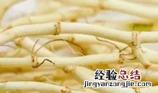 鱼腥草的禁忌和副作用是什么 鱼腥草的禁忌和副作用