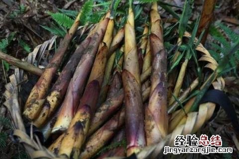 七八月份适合种什么农作物黑龙江 七八月份适合种什么农作物