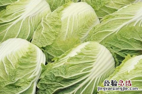 七八月份适合种什么农作物黑龙江 七八月份适合种什么农作物