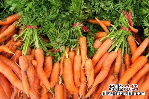 七八月份适合种什么农作物黑龙江 七八月份适合种什么农作物