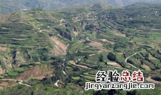 崤山怎么读 觞觥觚斛怎么读