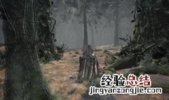 龙草的刷新位置 进来看看
