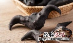 菱角的功效和作用 菱角的功效和作用有哪些