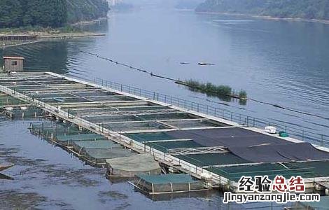 工厂化养鱼效益分析 工厂化养鱼关键技术及发展策略