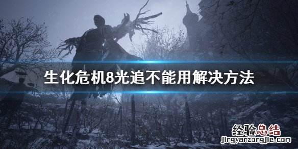 生化危机8光追不能用怎么办 生化危机8无法开光追