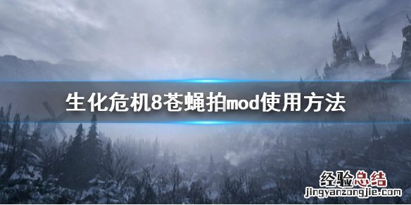 生化危机8苍蝇拍怎么用 生化危机8苍蝇拍怎么用不了