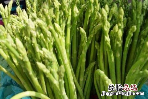 北方8月份适合种什么农作物 南方8月份适合种什么农作物