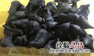 菱角煮多久能熟? 菱角煮多久能熟