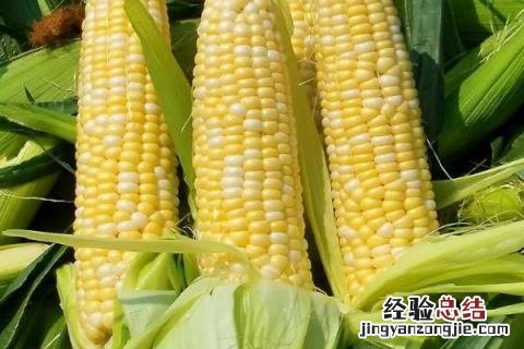 四川主要种植什么农作物 四川主要农作物是什么