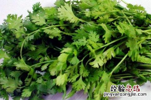 立秋种植什么农作物 立秋种什么农作物