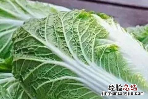 寒带种植什么农作物 寒露适合种什么农作物