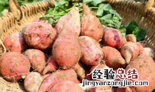 红薯不能与什么同食
