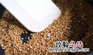 糙米茶的功效和作用 糙米茶的做法与功效