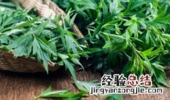 艾叶水怎么煮来喝 艾叶水怎么煮