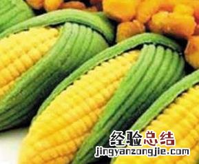 玉米的功效与作用与主治与用量 玉米的功效与作用