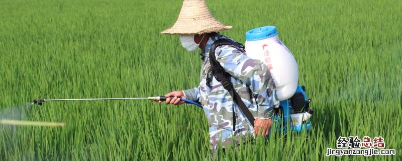 精喹禾灵几天死草见效 精禾喹灵除草范围,几天可以见效