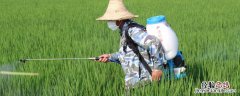 精喹禾灵几天死草见效 精禾喹灵除草范围，几天可以见效