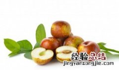 鲜枣是凉性还是热性 鲜枣是温性水果吗