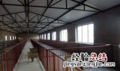 猪舍修建尺寸 猪舍建造设计尺寸