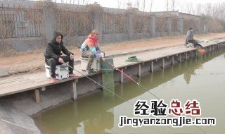 初冬桥筏钓多深的位置 冬天到了桥筏怎么钓