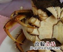 螃蟹公母怎么分 螃蟹公母怎么分辨图片