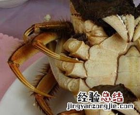 螃蟹公母怎么分 螃蟹公母怎么分辨图片
