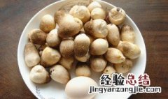 草菇鸡怎么做 草菇鸡怎么做最好吃