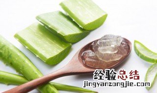 芦荟的功效与作用 芦荟的功效竟然这么多