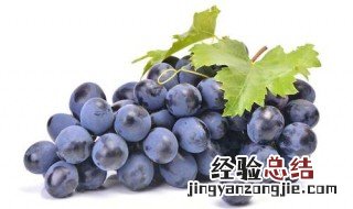 葡萄皮的功效与作用 葡萄皮的功效与作用及副作用