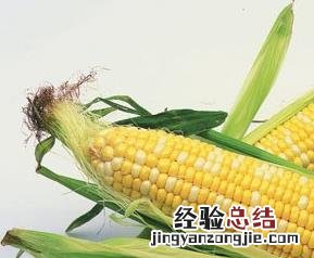 玉米须的功效和作用有哪些 玉米须的功效与作用的功效与作用