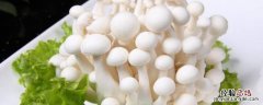 白玉菇没焯水有毒吗 白玉菇不焯水有毒吗